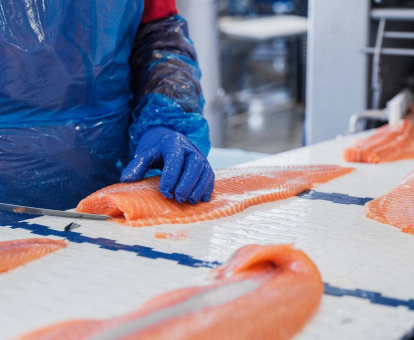 Gas Booster for CHP System | Salmon Factory Case Study