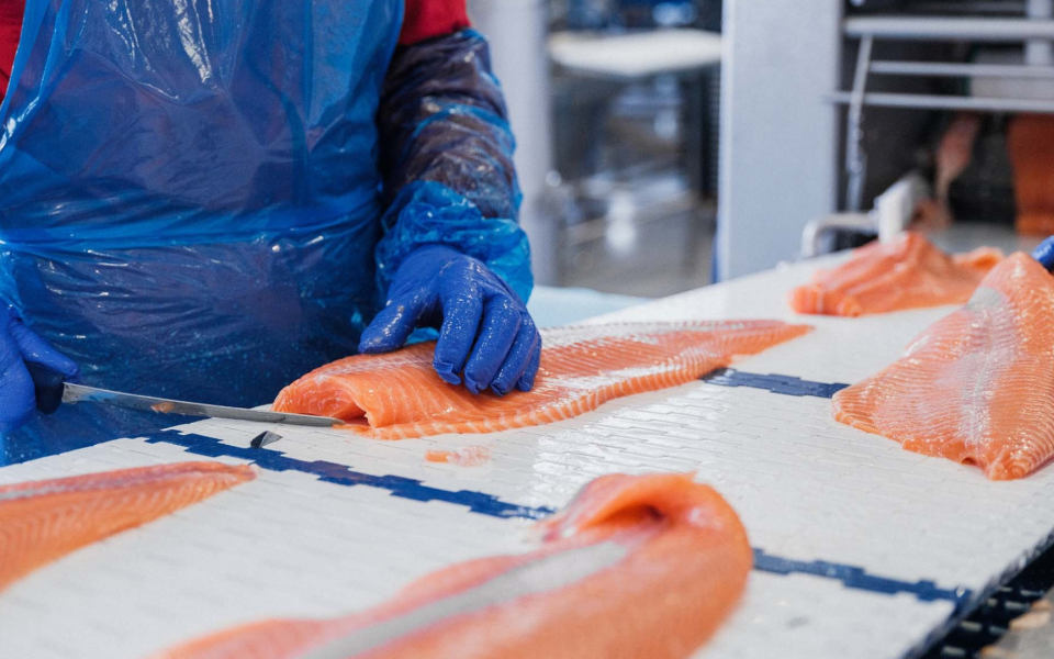 Gas Booster for CHP System | Salmon Factory Case Study