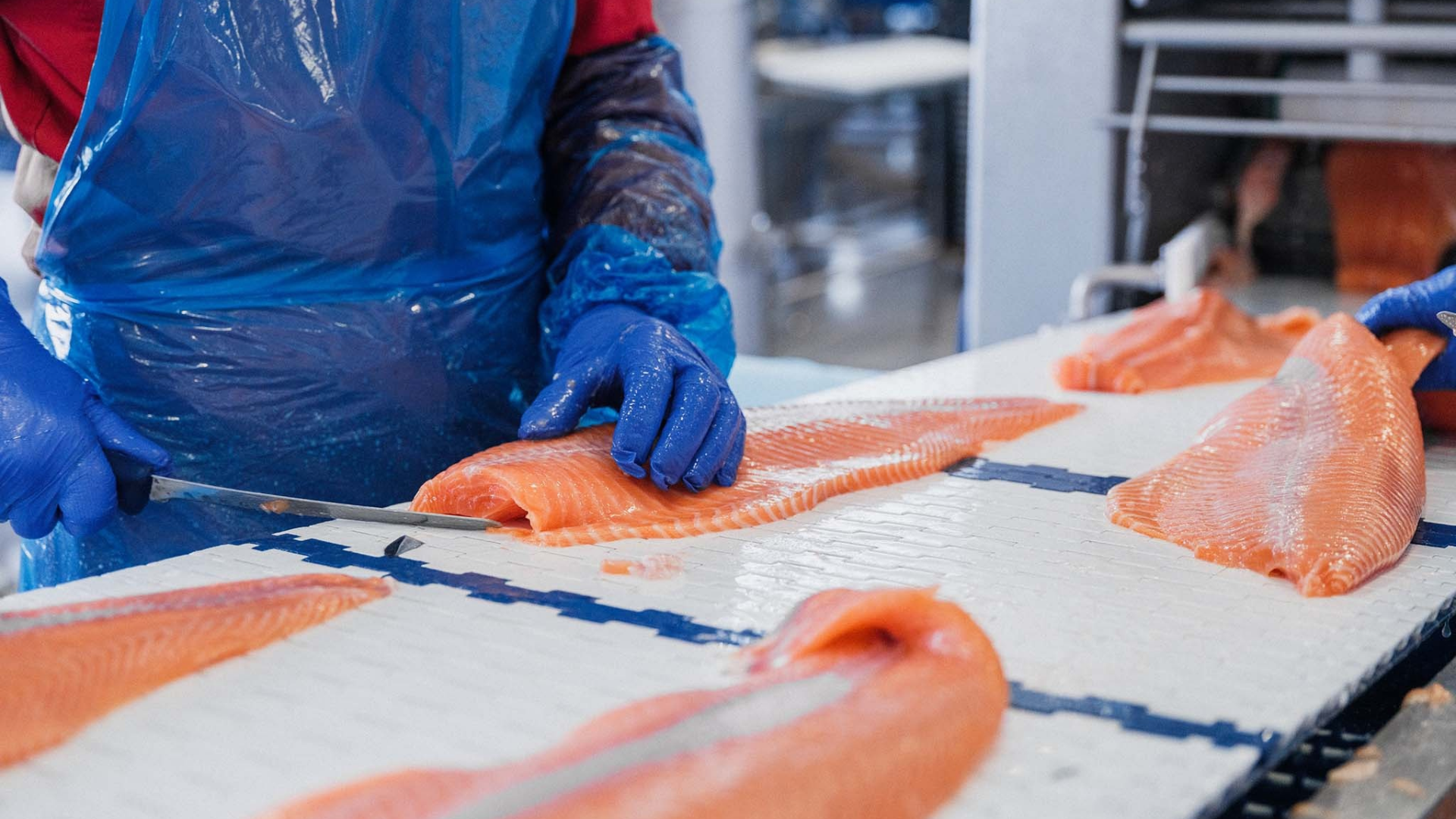 Gas Booster for CHP System | Salmon Factory Case Study